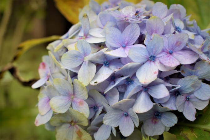 5b