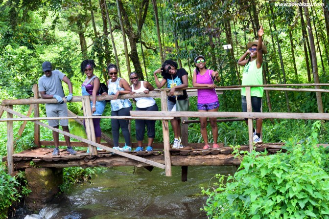 5cool back with the gang