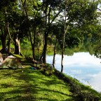 KIBALE FOREST: THE FIRST OF MANY