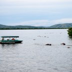 THE SURPRISE IN MBURO